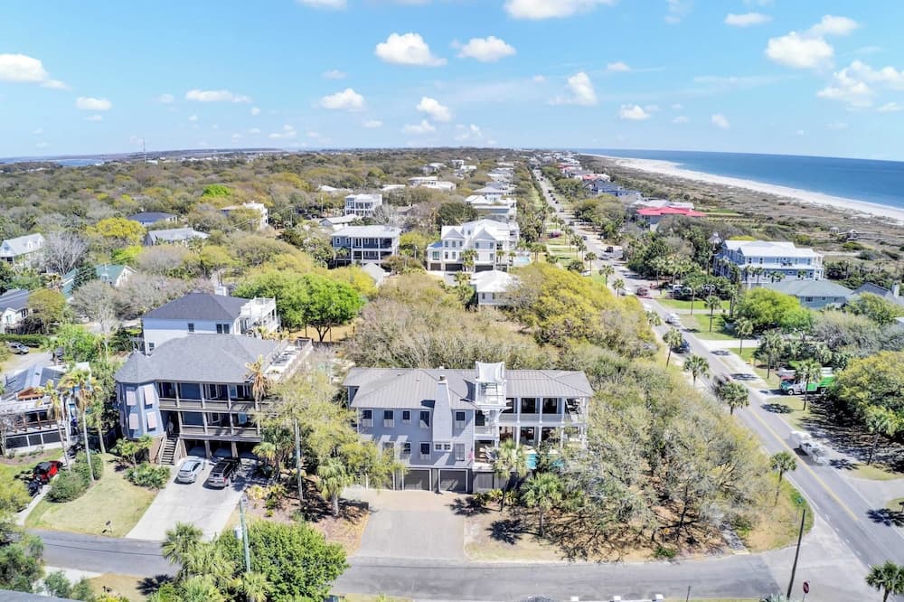 Palm #3301 - Image 3