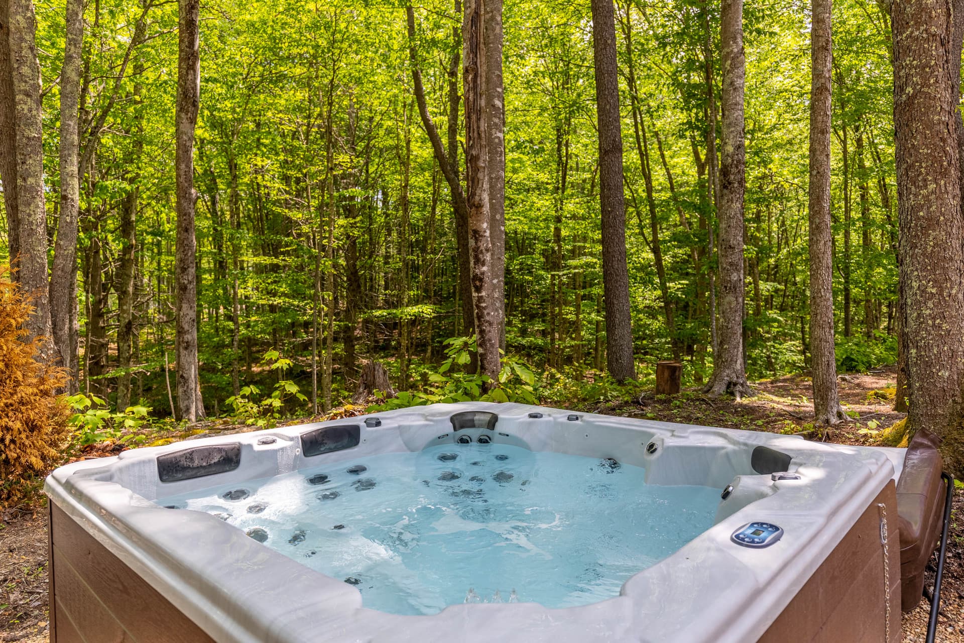 Stillness Springs Home - Image 3