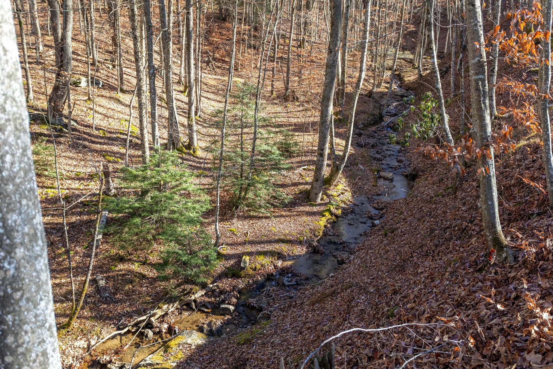 Stillness Springs Home - Image 24