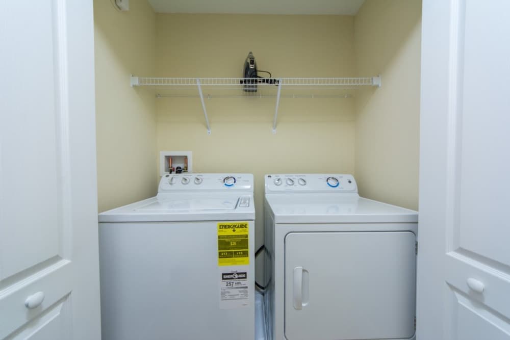 Amber Story Lake - Image 23