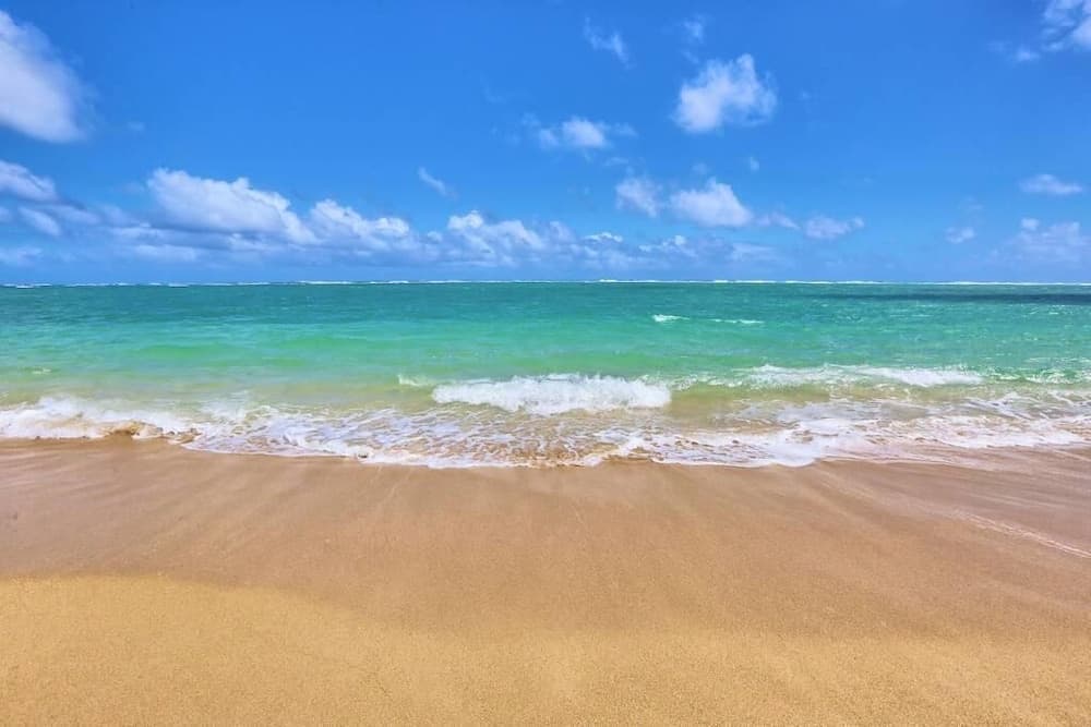 Locale Hilo Condo - Image 34