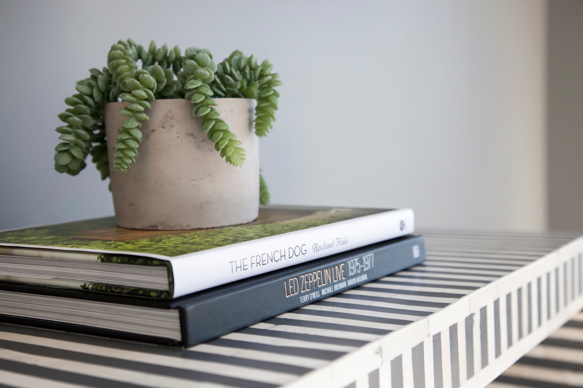 Sunlight Sanctuary - Image 31