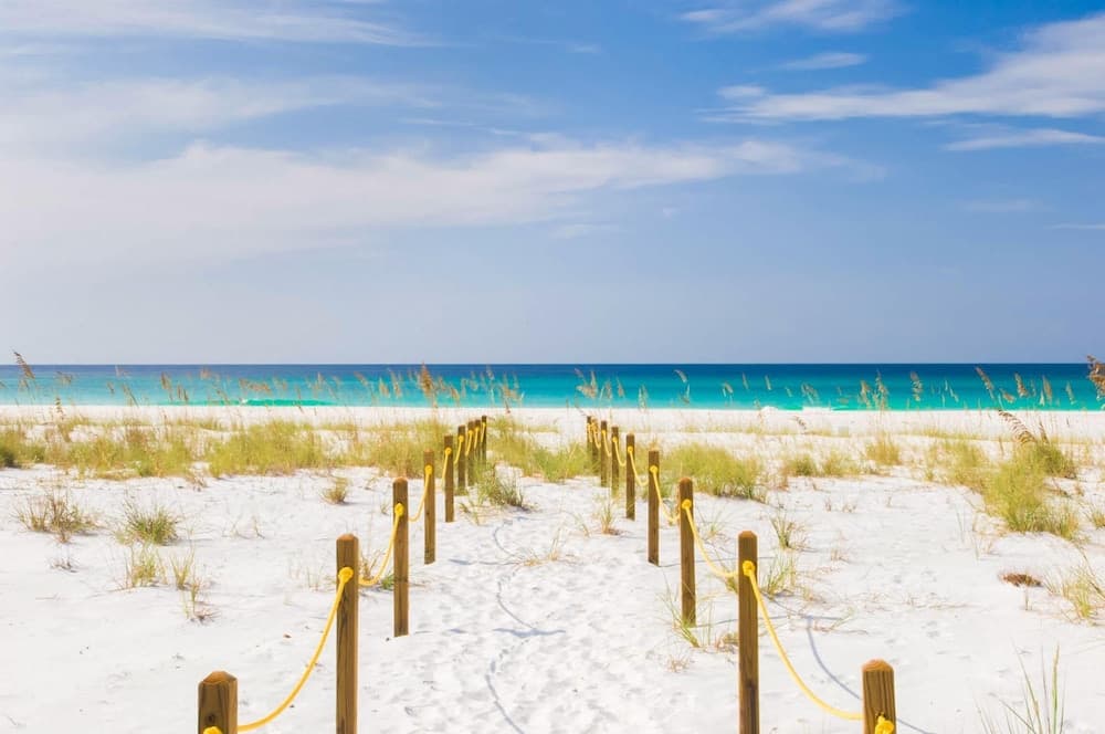 Sunny Side Up - Image 18