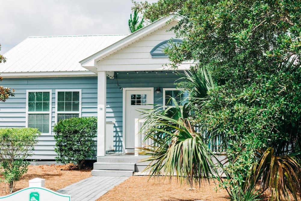 Sunset Shenanigans - Image 2