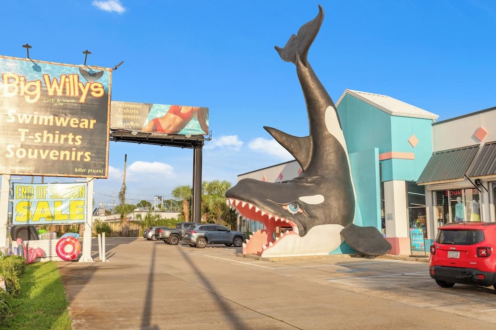 Sunshine House - Image 47