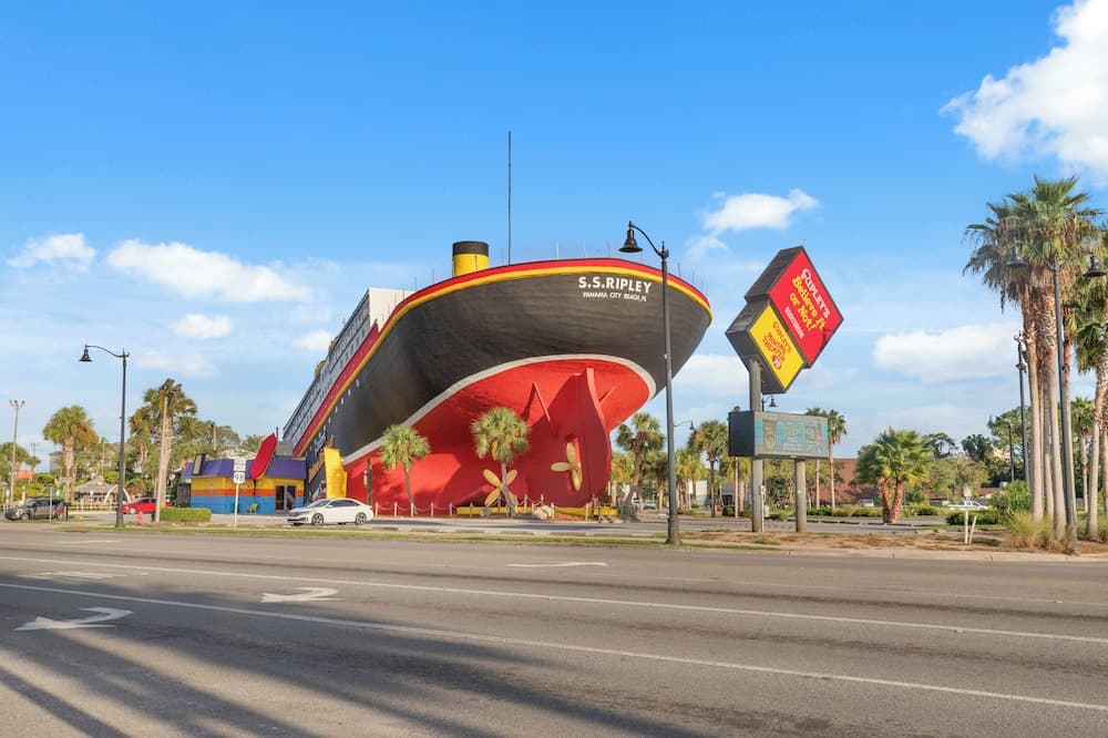 Sunshine House - Image 55