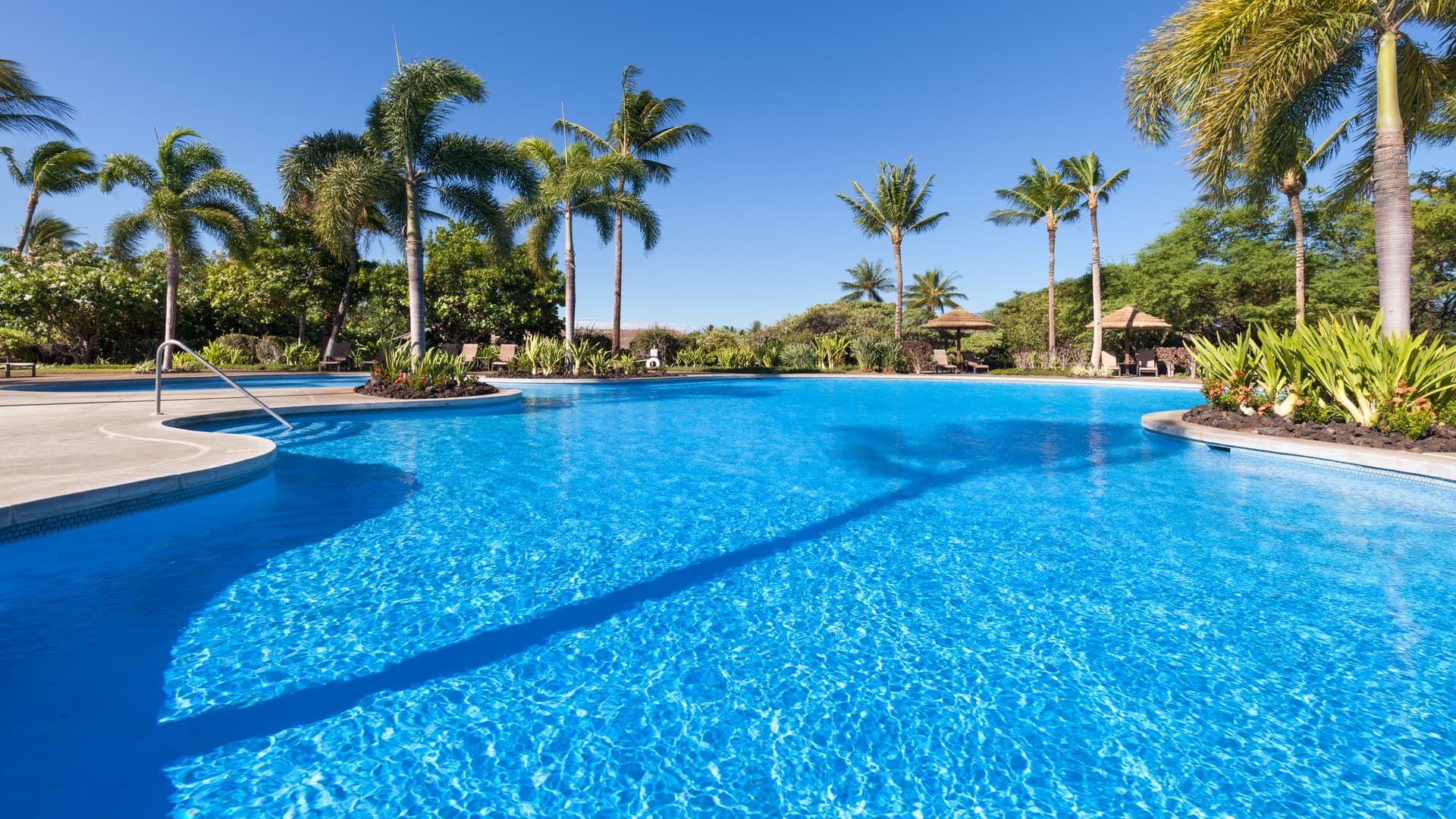 Sunshine Oasis - Image 43