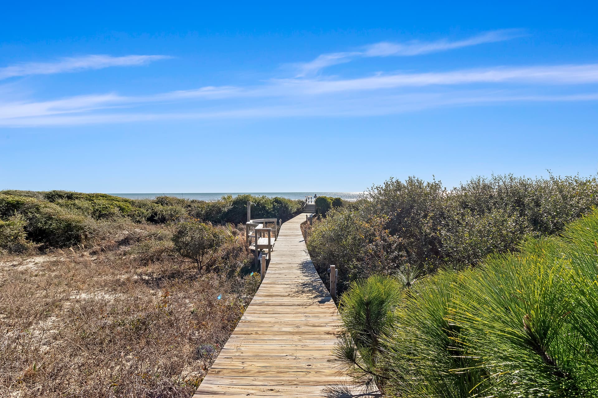 Saltaire at Shipwatch - Image 28