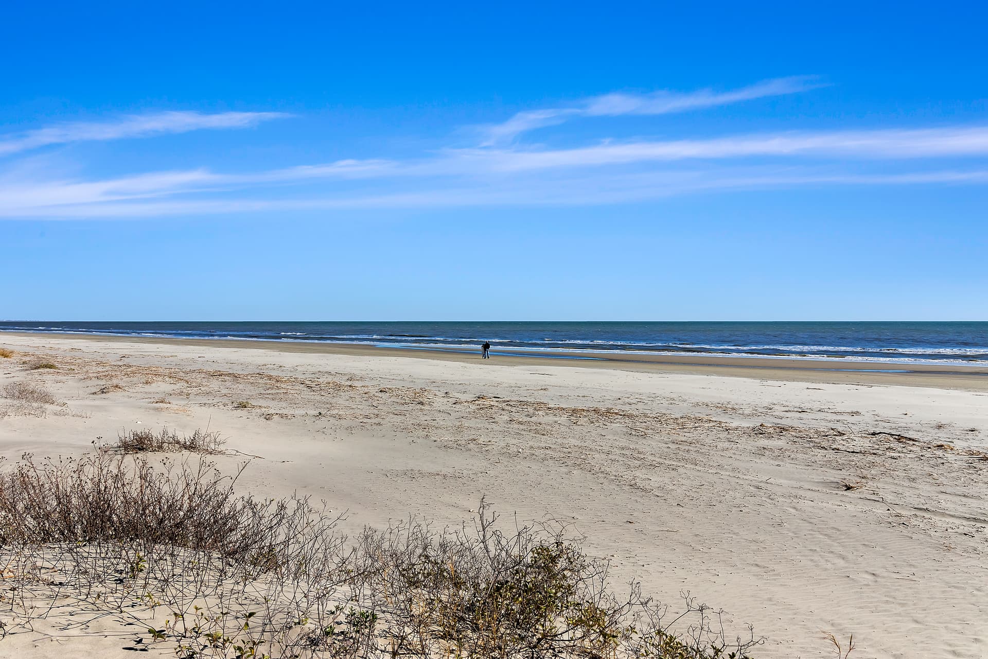 Saltaire at Shipwatch - Image 29