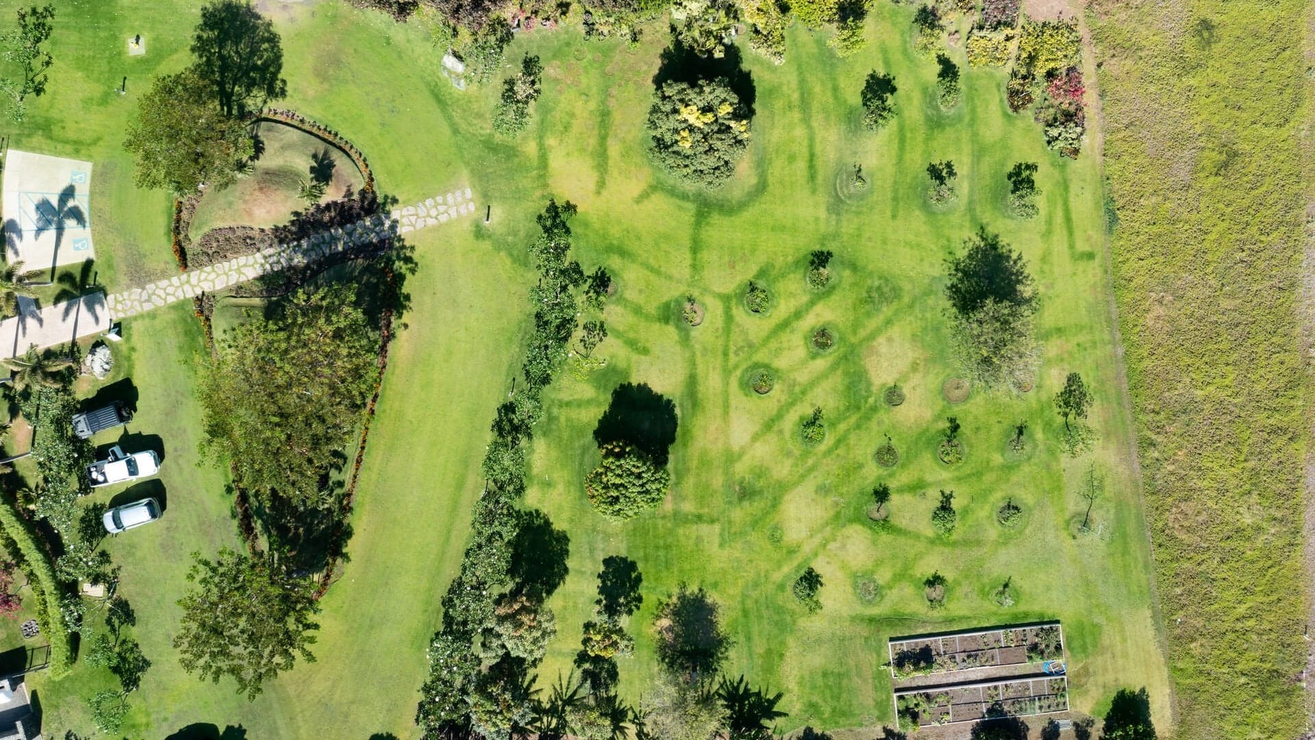 Hale Kailani - Image 98