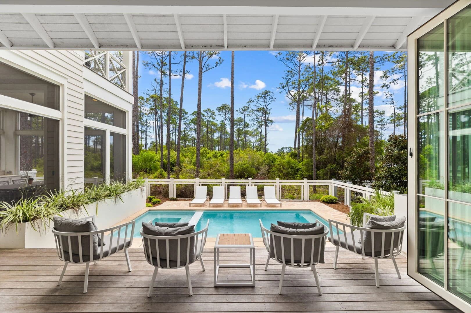 Sand Between Pines - Image 31