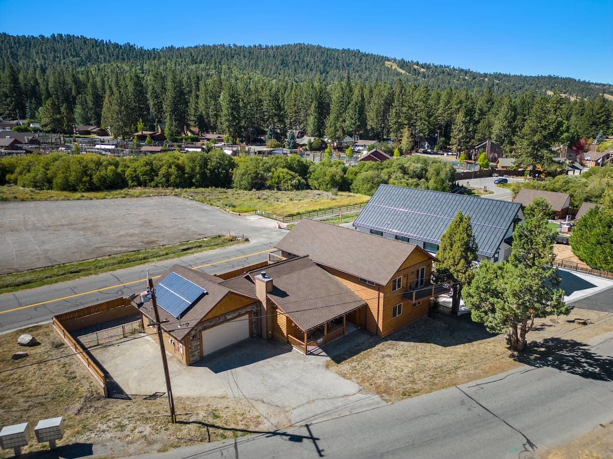 Paw Print - Image 33