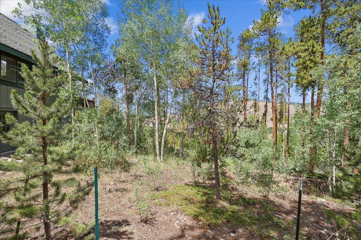 Tenderfoot Basecamp - Image 61