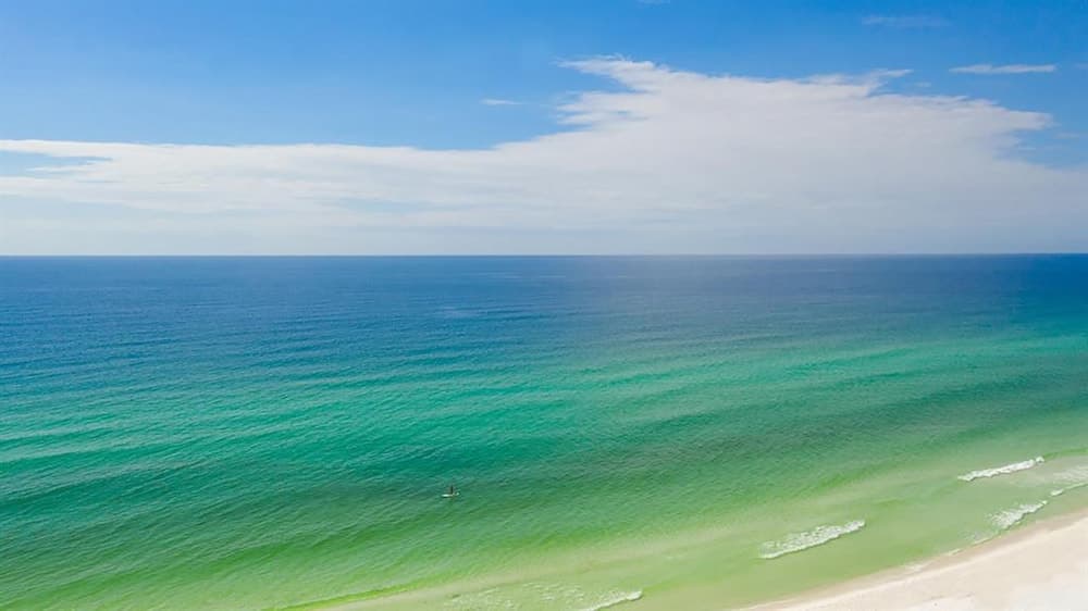 Texabama Breeze - Image 75