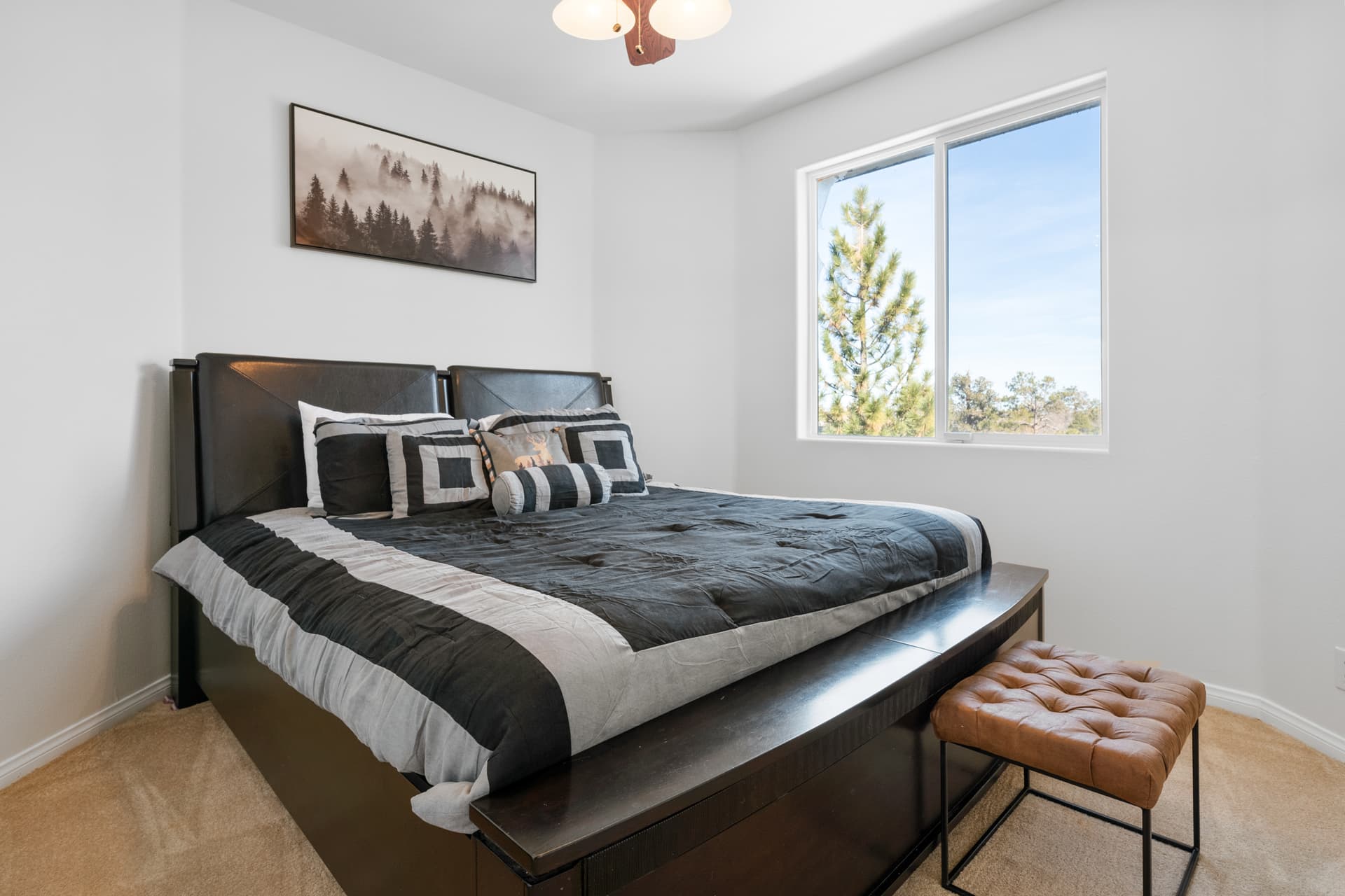 Bear House - Image 15