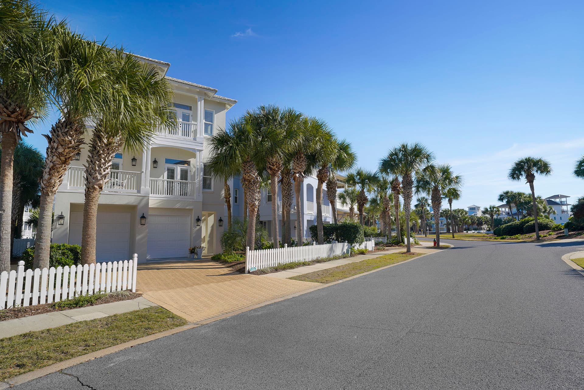 Hummingbird - Image 31