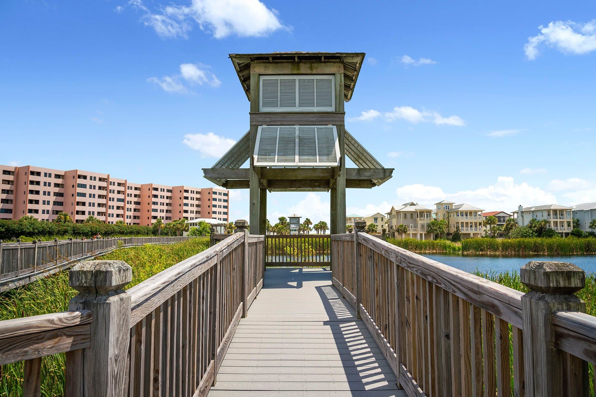 Hummingbird - Image 50