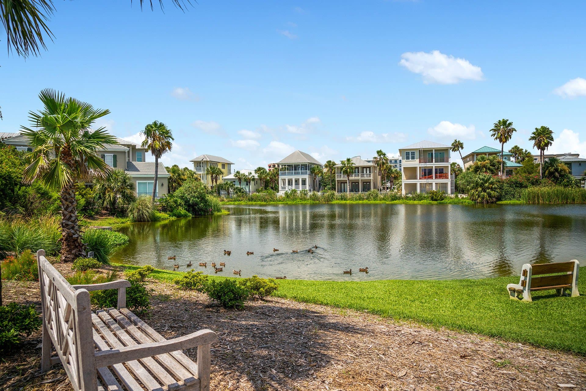 Hummingbird - Image 51