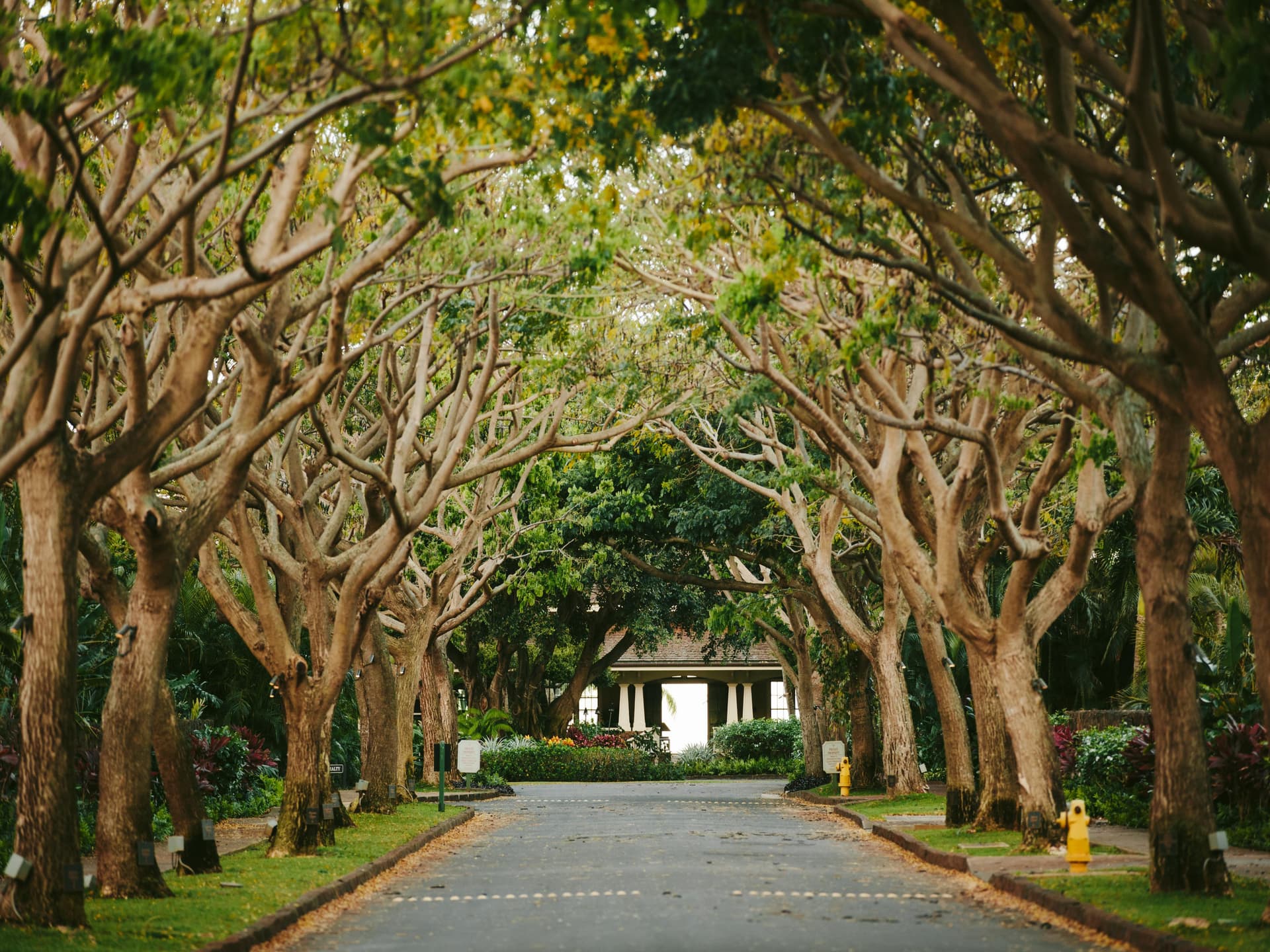 Lodge at Kukui'ula Villa #5 - Image 19