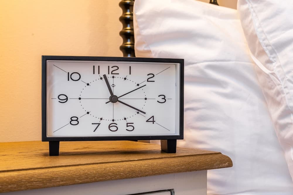 Magnolia #1 - Image 13