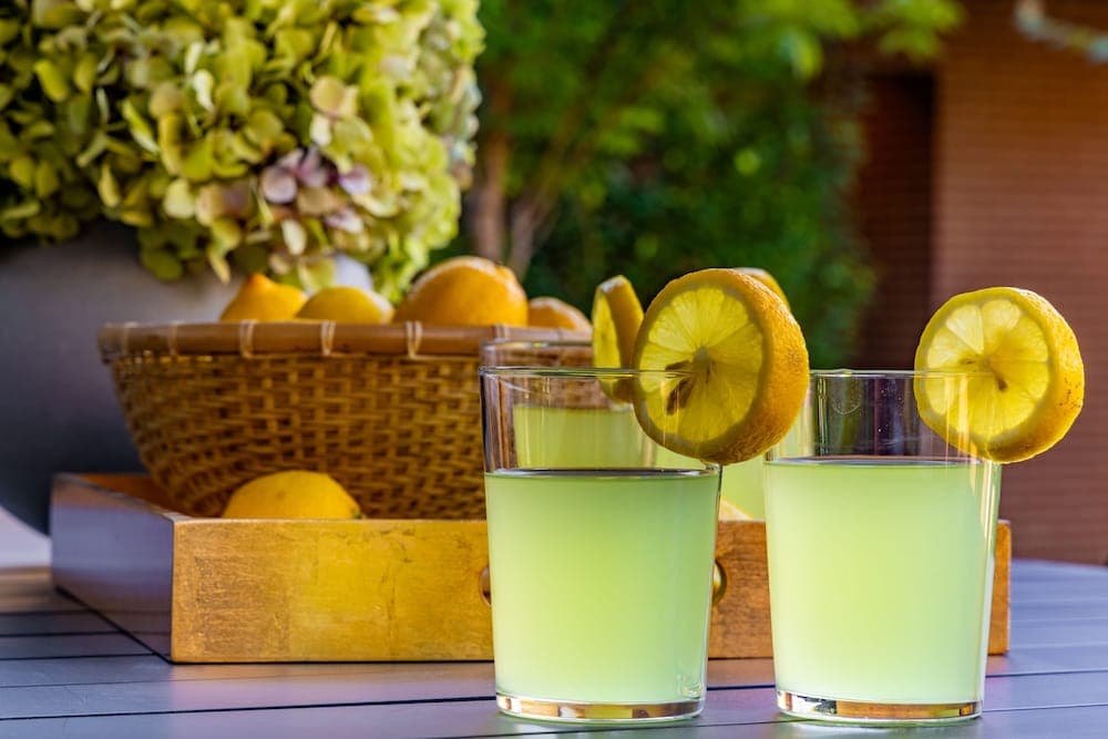 Magnolia #13 - Image 37