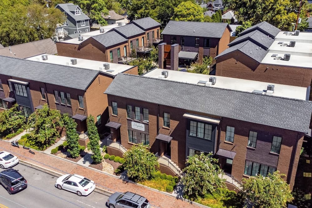 Magnolia #13 - Image 44