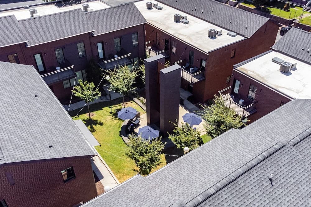 Magnolia #5 - Image 47