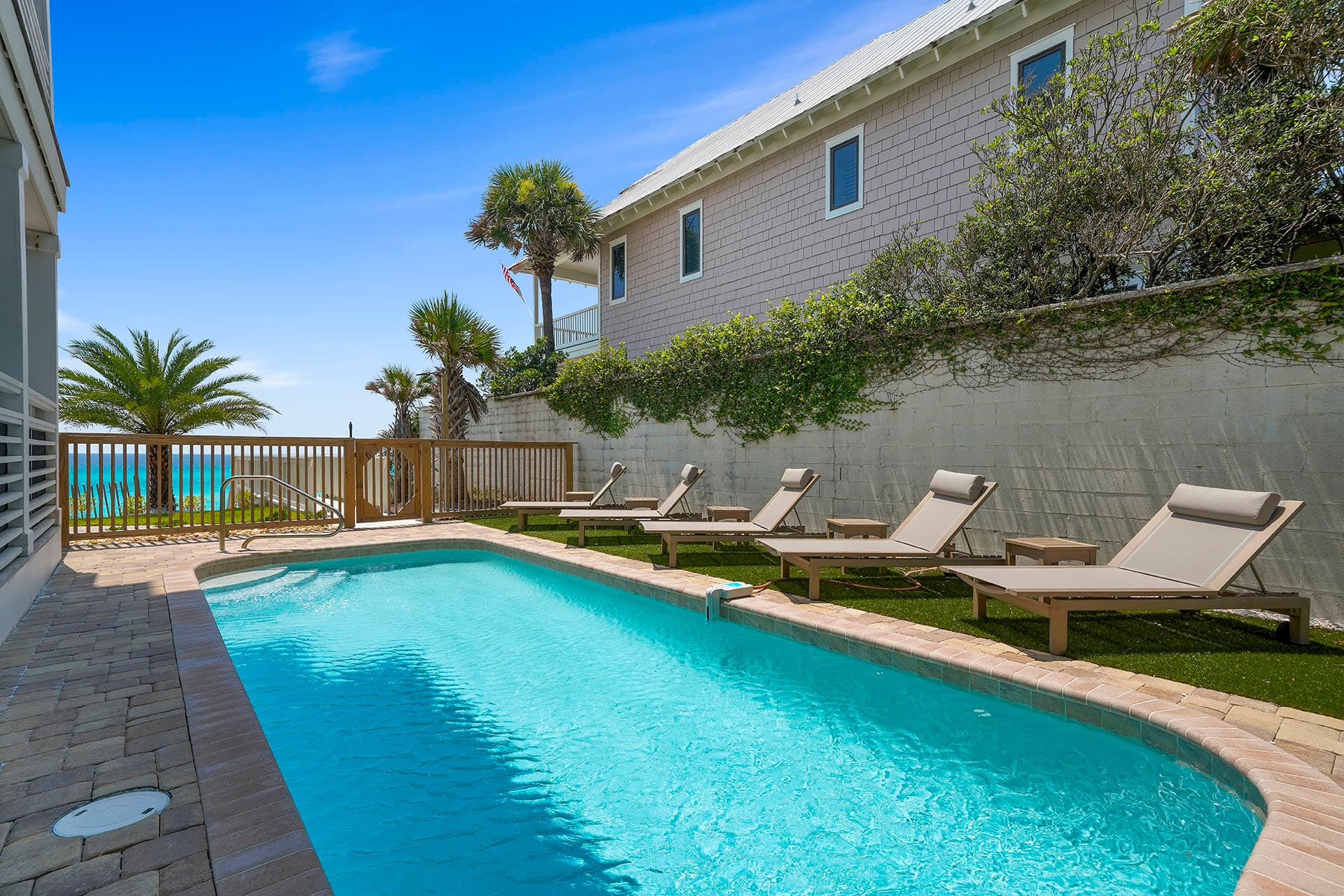 Pelagic Blue - Image 2