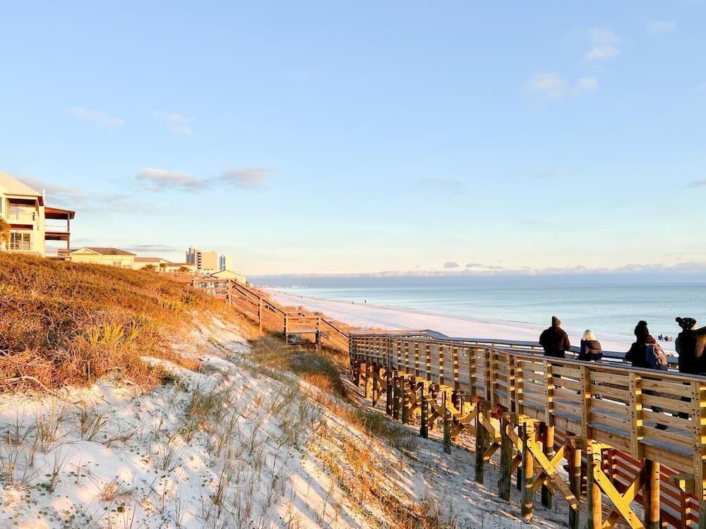 Pickled Flamingo - Image 33