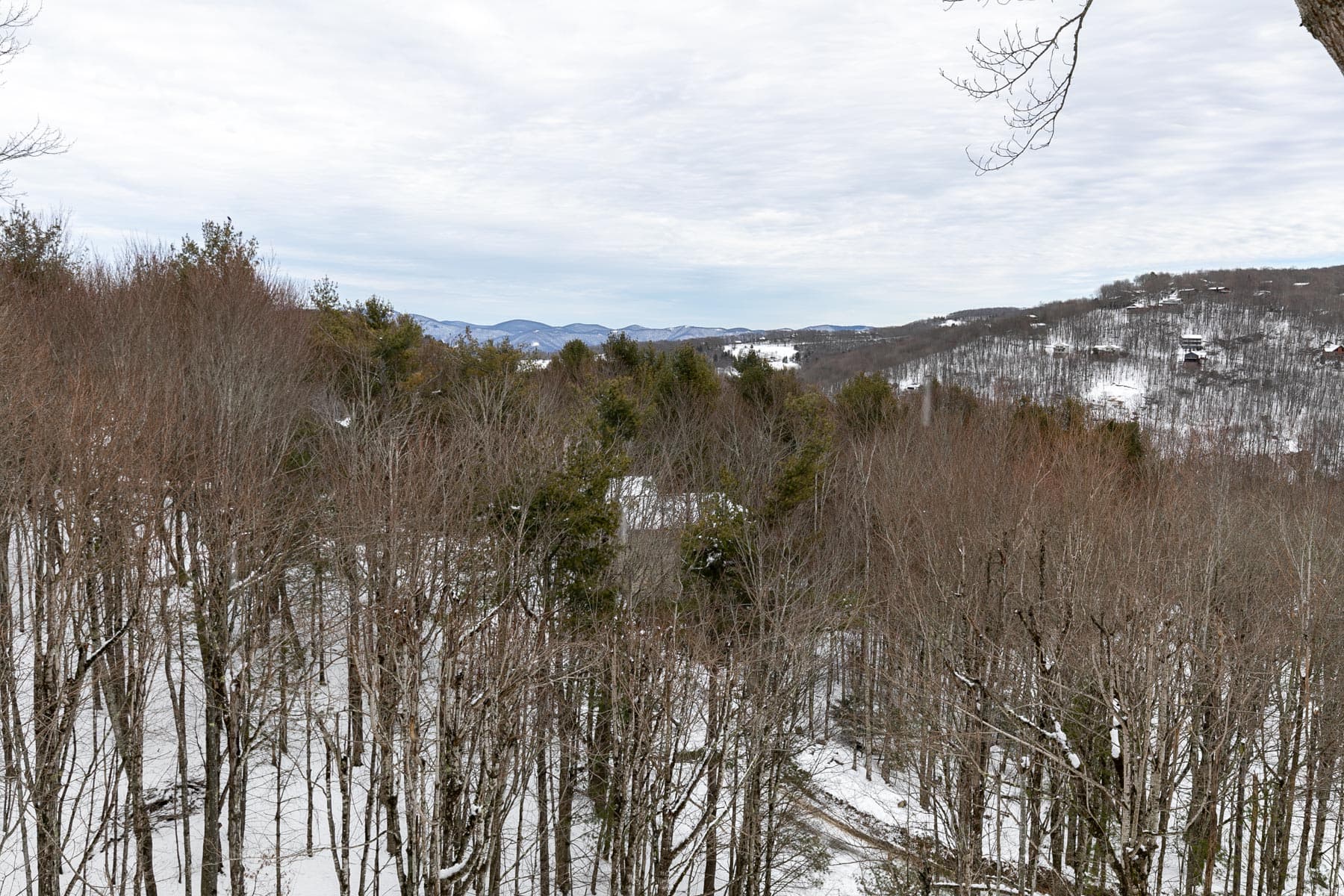 The Raven - Image 51