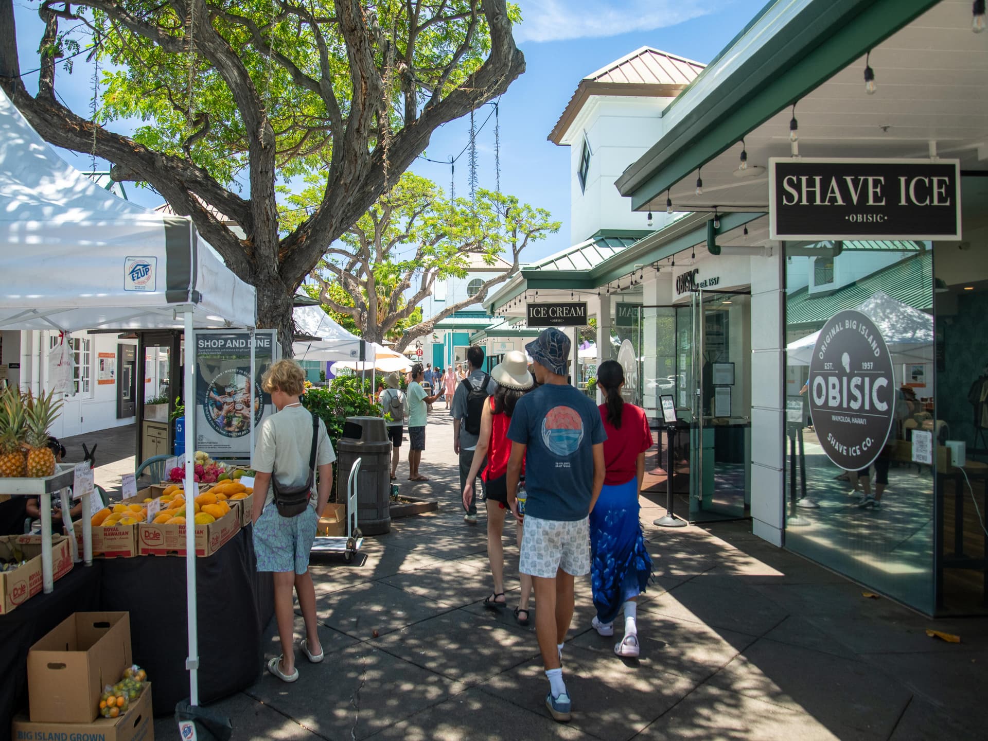 Shores at Waikoloa #21 - Image 36