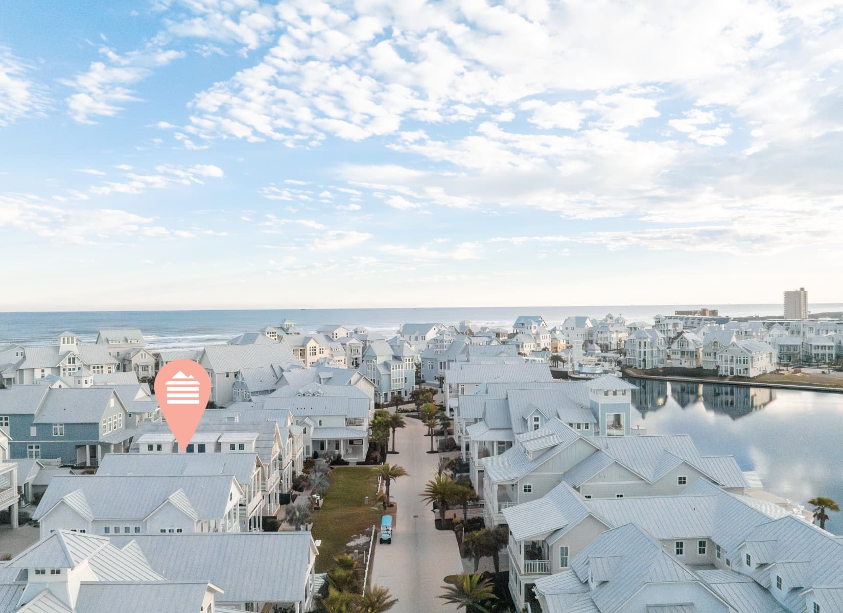 Violet Palm - Image 34