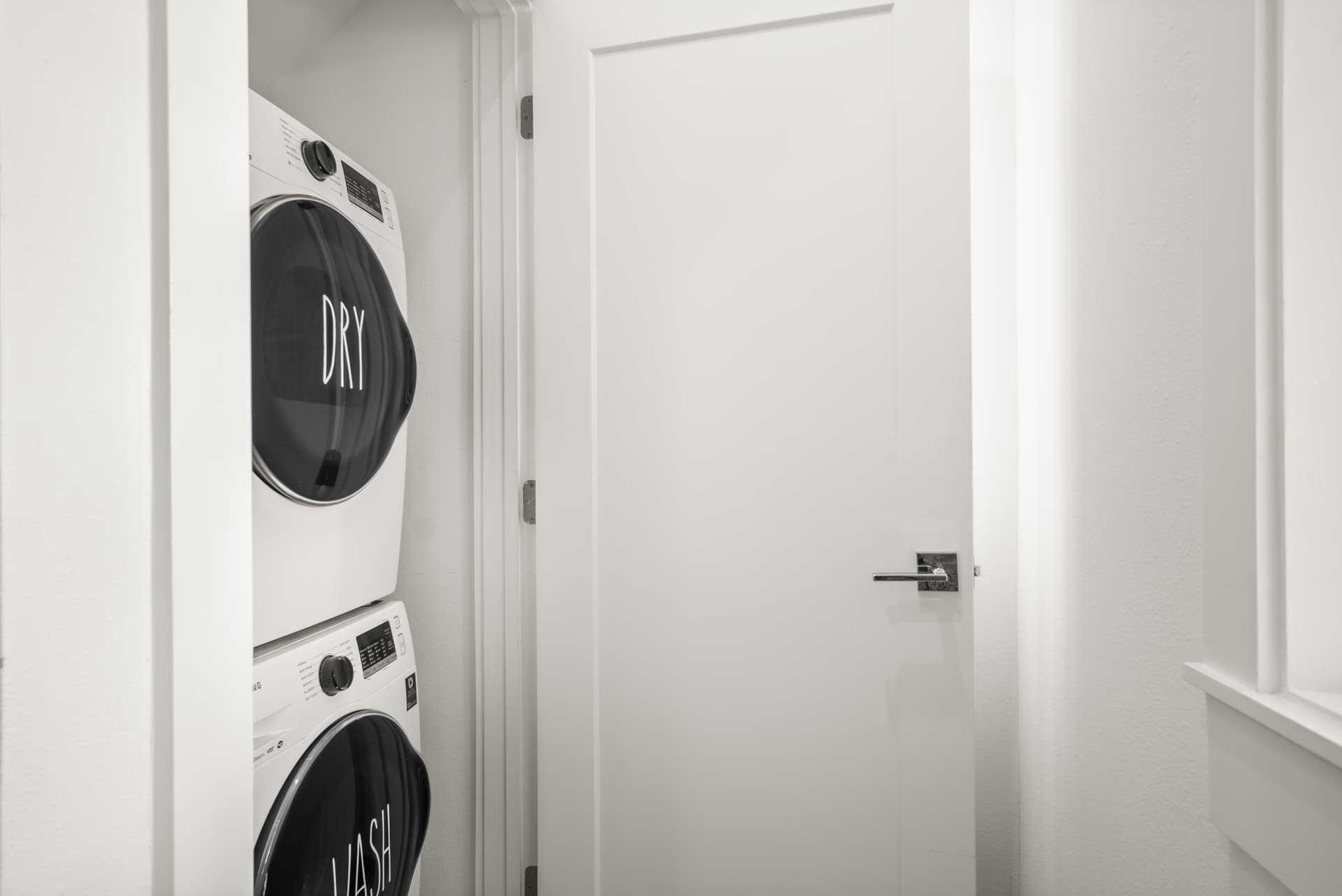 Violet Palm - Image 23