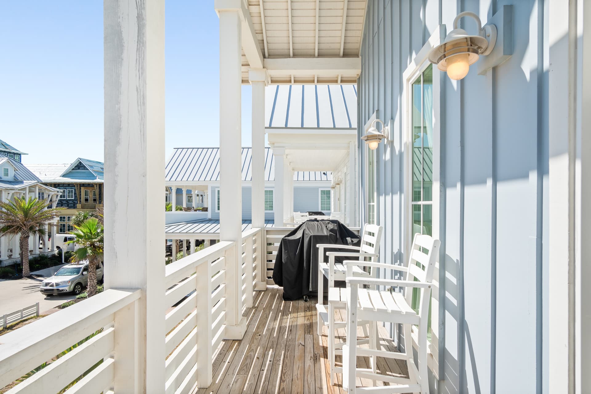 Violet Palm - Image 26