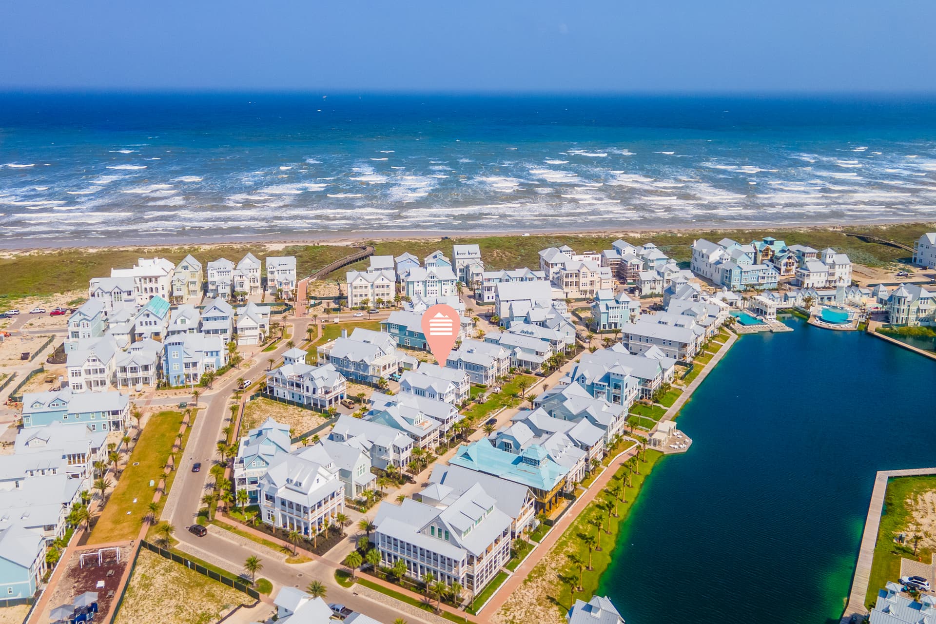 Violet Palm - Image 2