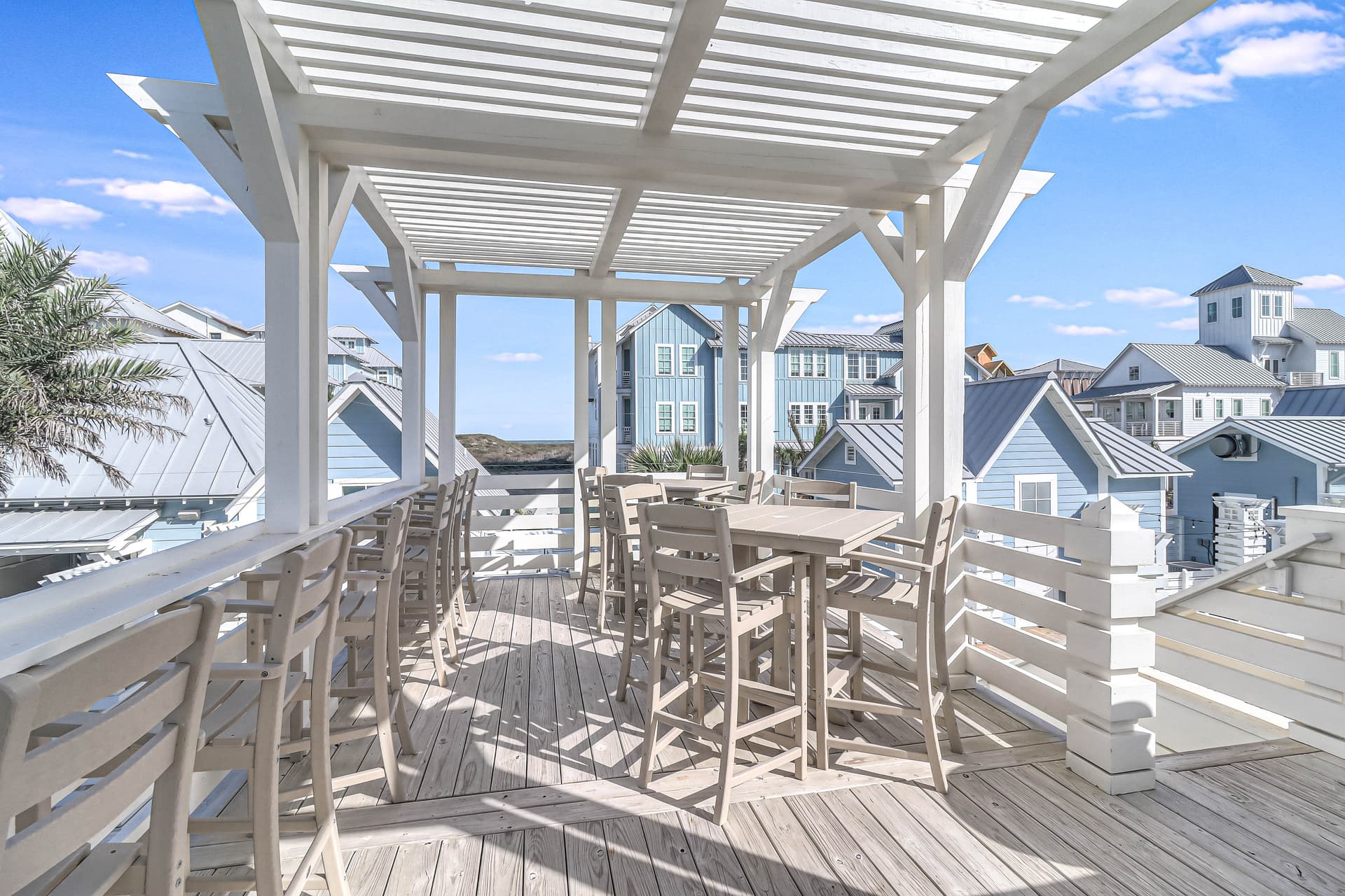 Violet Palm - Image 51