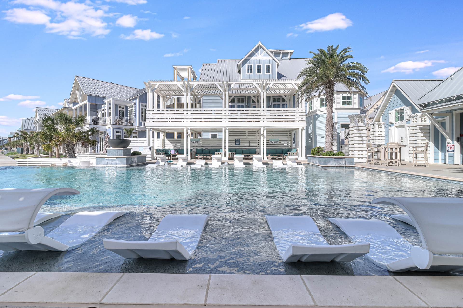 Violet Palm - Image 56