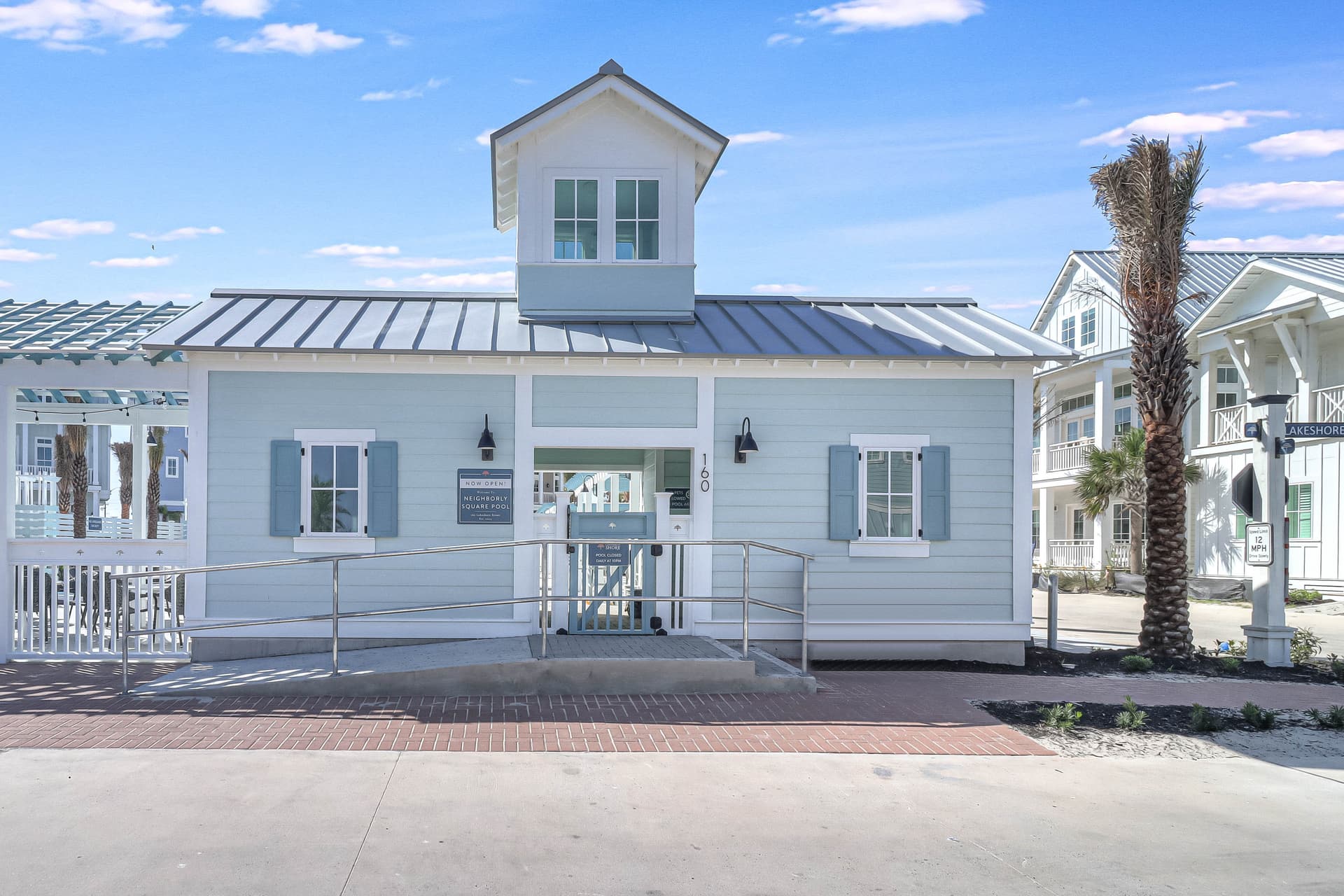 Violet Palm - Image 70