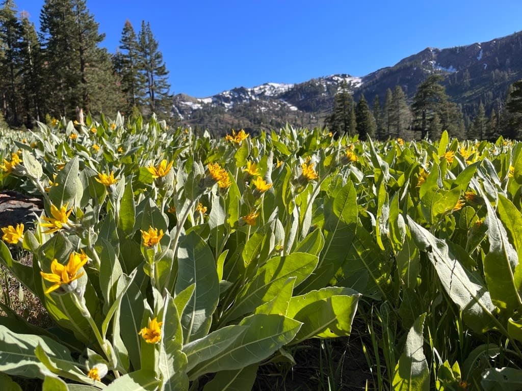 Scott Peak Lodge #46 - Image 36
