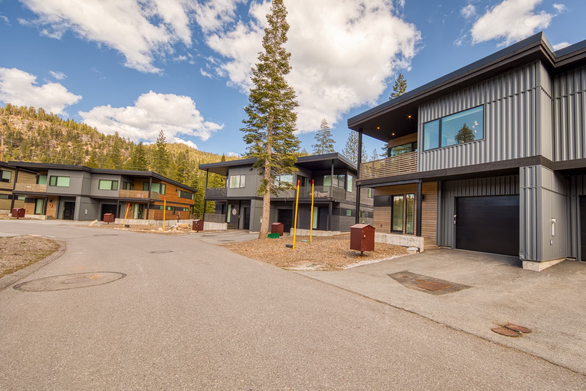 Twilight Run - Image 32