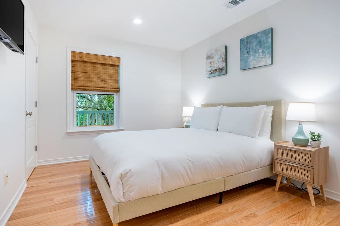 Dolphin Days - Image 17