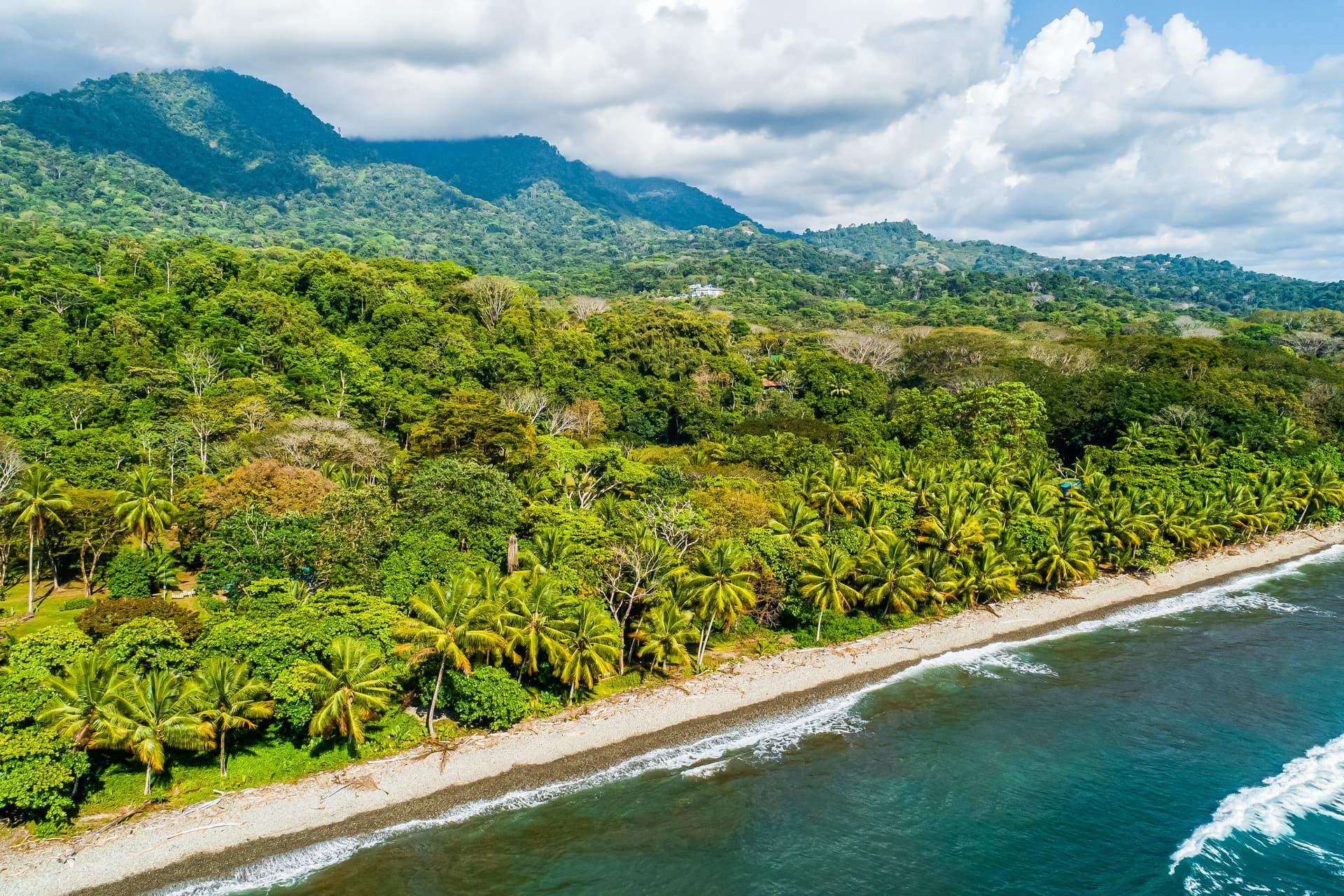 Casa Ballena Pearl - Image 3