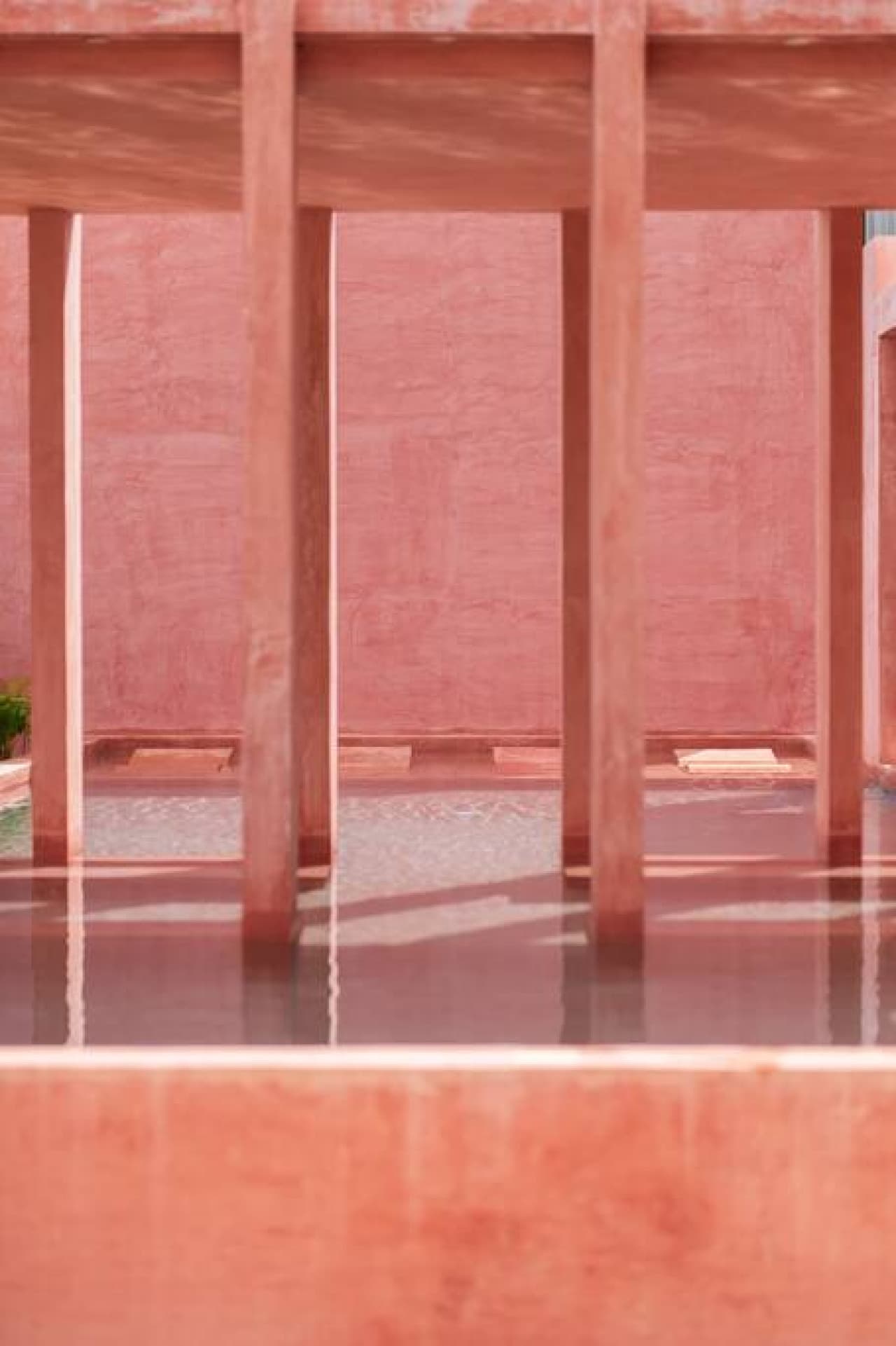 Tulix Moon Pink Paradise - Image 16