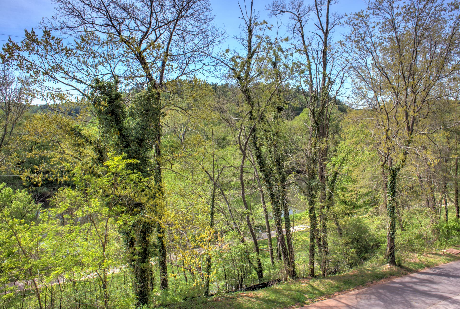 Upstream Cottage - Image 11