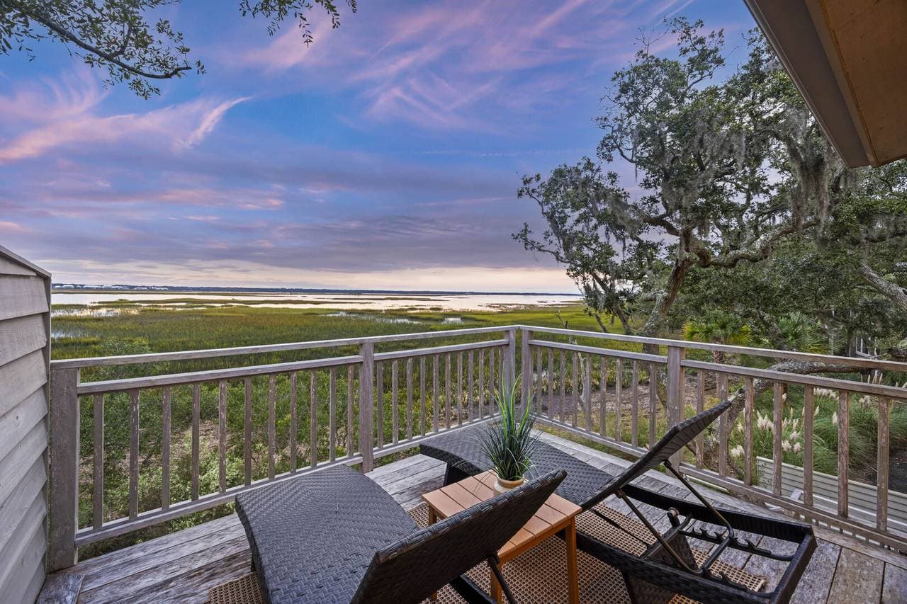 Marsh Hawk - Image 43