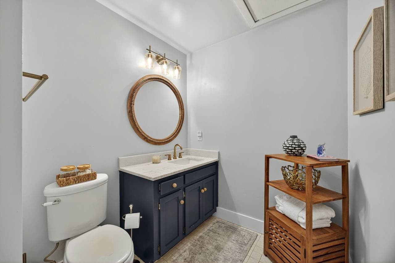 Marsh Hawk - Image 29