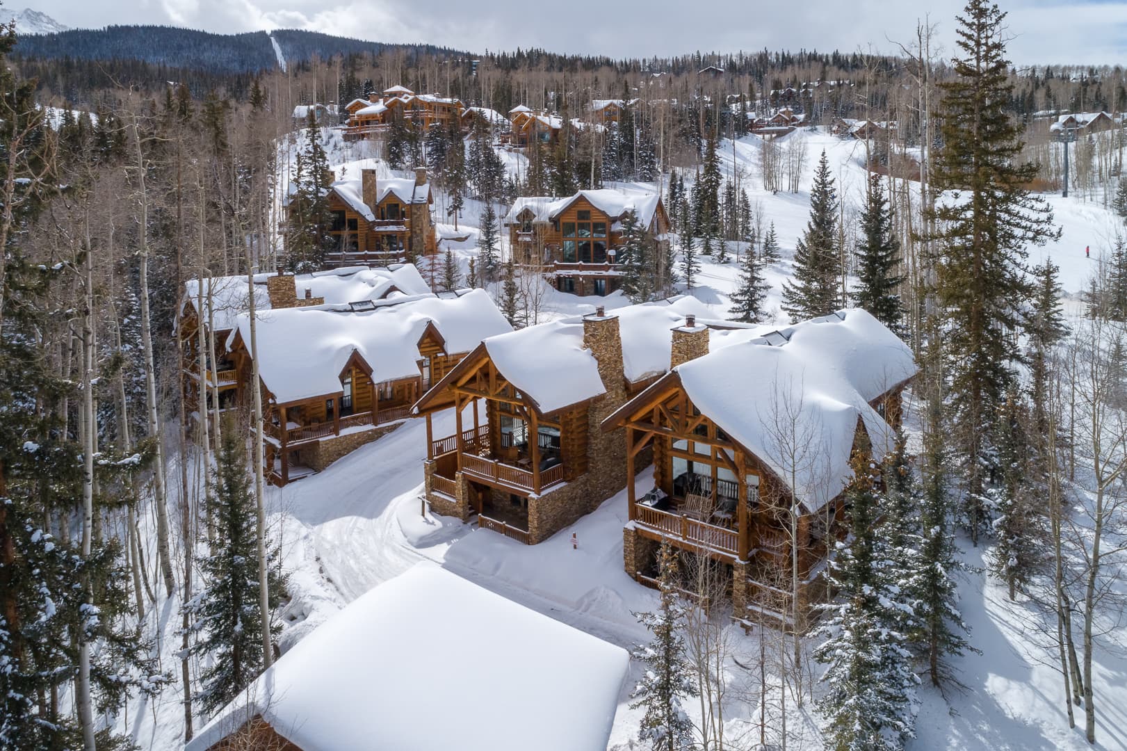 Wild Cat Lair - Image 2