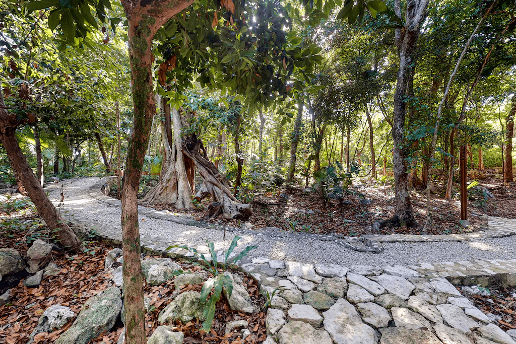 Blissful Haven - Image 37