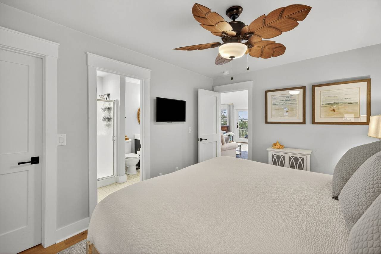 Marsh Hawk - Image 18