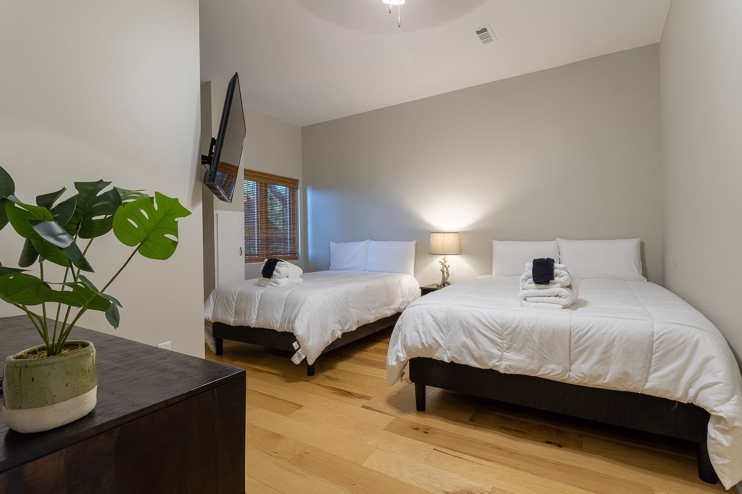 Views & Brews - Image 32